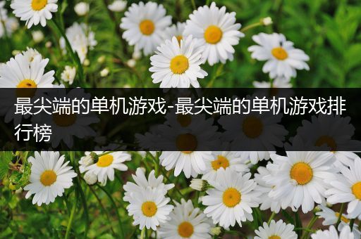 最尖端的单机游戏-最尖端的单机游戏排行榜
