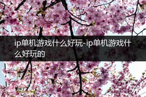 ip单机游戏什么好玩-ip单机游戏什么好玩的