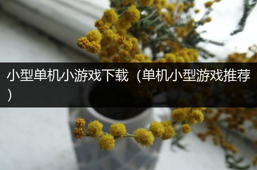 小型单机小游戏下载（单机小型游戏推荐）