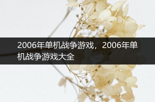 2006年单机战争游戏，2006年单机战争游戏大全