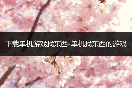 下载单机游戏找东西-单机找东西的游戏