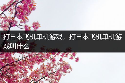 打日本飞机单机游戏，打日本飞机单机游戏叫什么