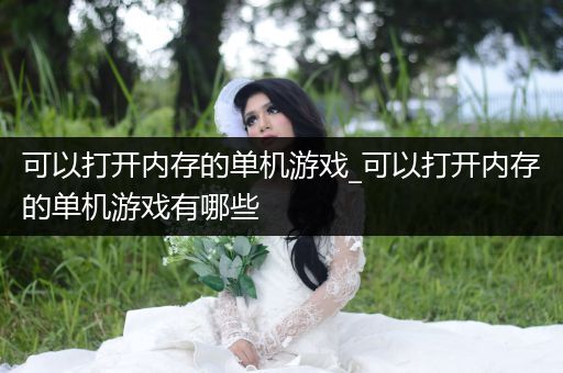 可以打开内存的单机游戏_可以打开内存的单机游戏有哪些