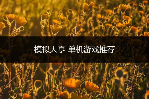 模拟大亨 单机游戏推荐