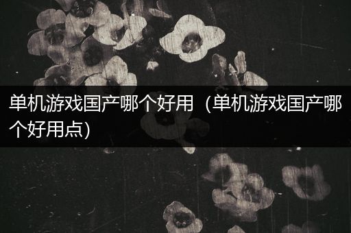 单机游戏国产哪个好用（单机游戏国产哪个好用点）