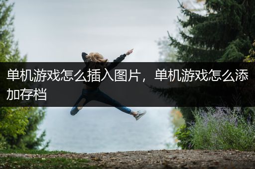 单机游戏怎么插入图片，单机游戏怎么添加存档