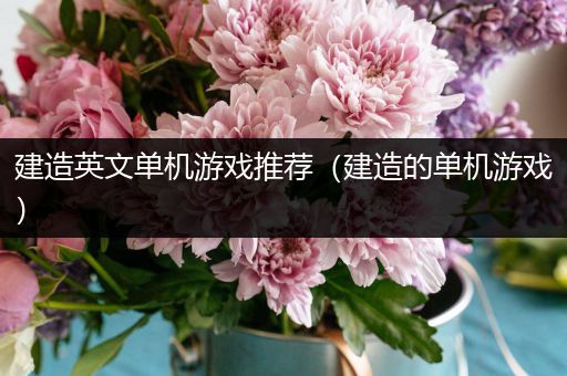 建造英文单机游戏推荐（建造的单机游戏）