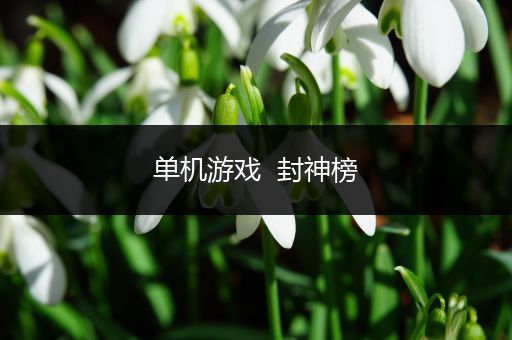 单机游戏  封神榜
