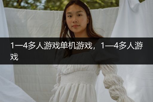 1一4多人游戏单机游戏，1—4多人游戏