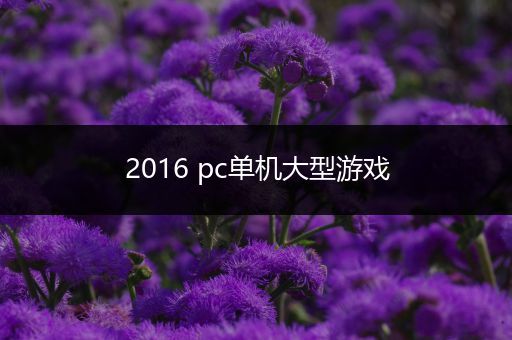 2016 pc单机大型游戏