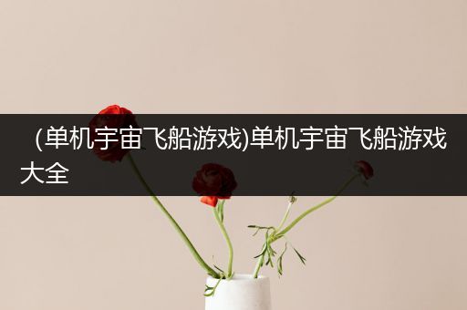 （单机宇宙飞船游戏)单机宇宙飞船游戏大全