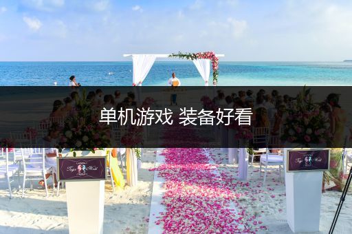 单机游戏 装备好看