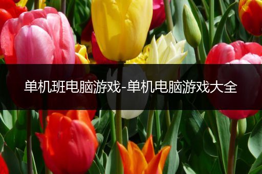 单机班电脑游戏-单机电脑游戏大全