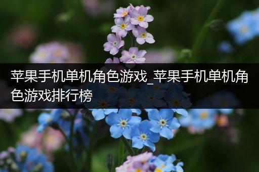 苹果手机单机角色游戏_苹果手机单机角色游戏排行榜