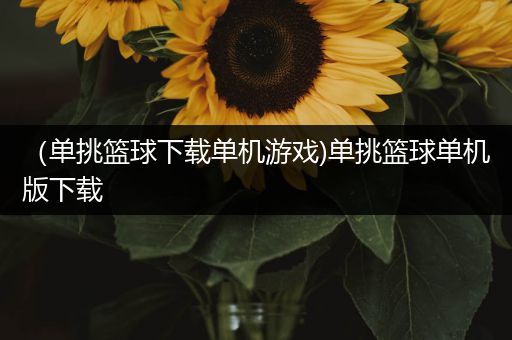 （单挑篮球下载单机游戏)单挑篮球单机版下载