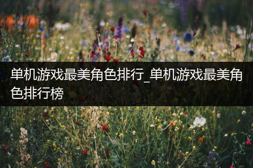 单机游戏最美角色排行_单机游戏最美角色排行榜
