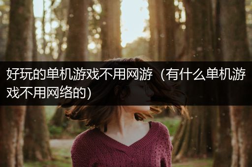 好玩的单机游戏不用网游（有什么单机游戏不用网络的）