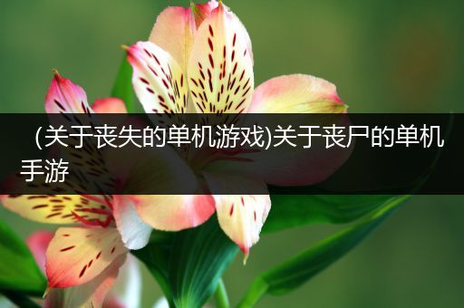（关于丧失的单机游戏)关于丧尸的单机手游