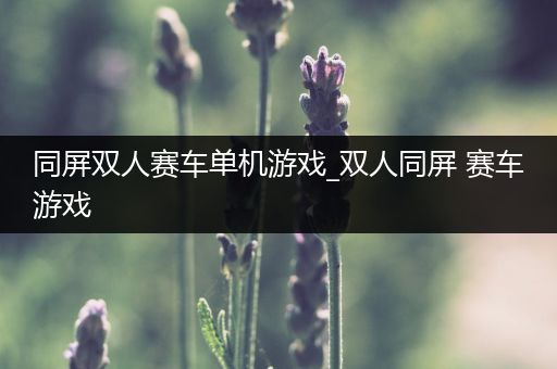 同屏双人赛车单机游戏_双人同屏 赛车游戏