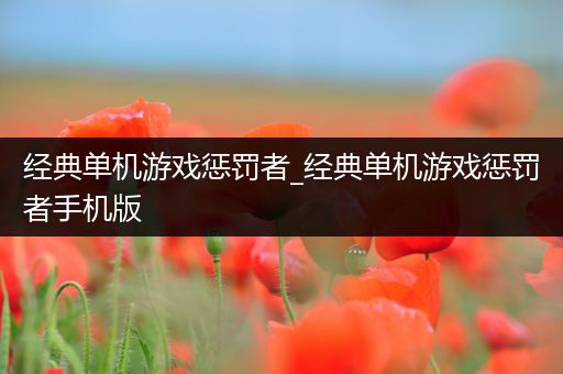 经典单机游戏惩罚者_经典单机游戏惩罚者手机版