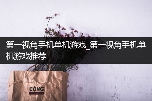 第一视角手机单机游戏_第一视角手机单机游戏推荐