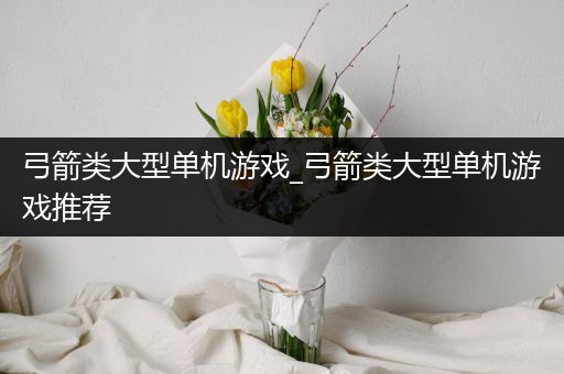 弓箭类大型单机游戏_弓箭类大型单机游戏推荐