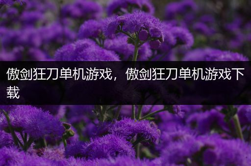 傲剑狂刀单机游戏，傲剑狂刀单机游戏下载