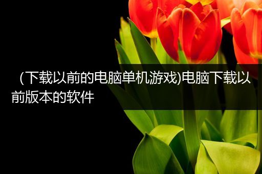 （下载以前的电脑单机游戏)电脑下载以前版本的软件