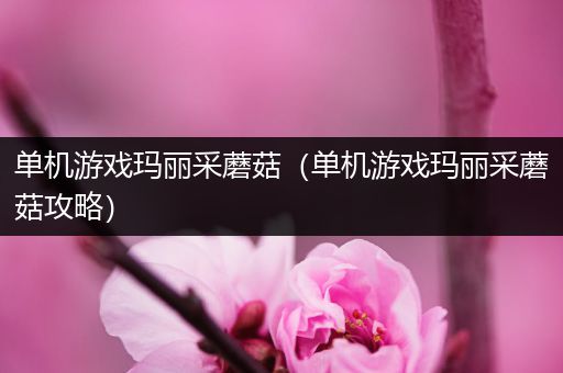 单机游戏玛丽采蘑菇（单机游戏玛丽采蘑菇攻略）