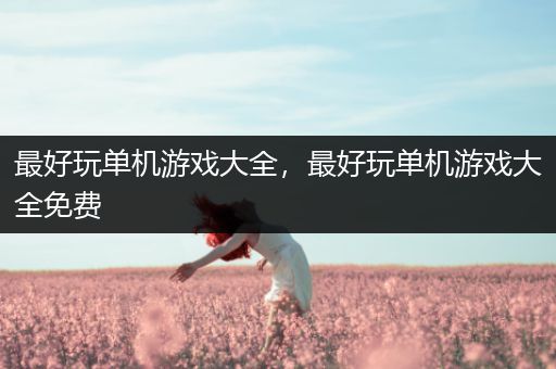 最好玩单机游戏大全，最好玩单机游戏大全免费