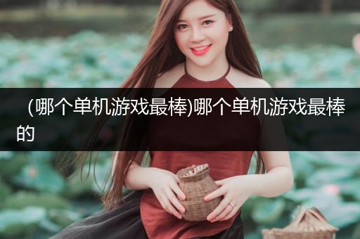 （哪个单机游戏最棒)哪个单机游戏最棒的