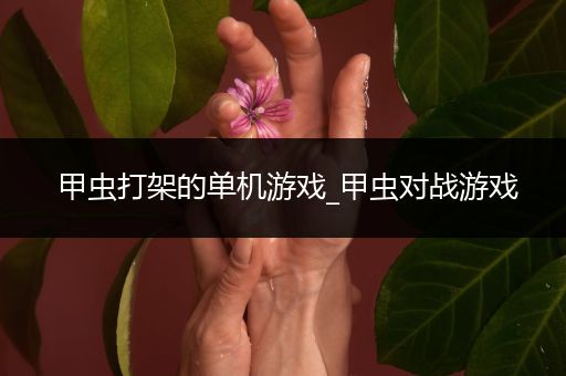 甲虫打架的单机游戏_甲虫对战游戏
