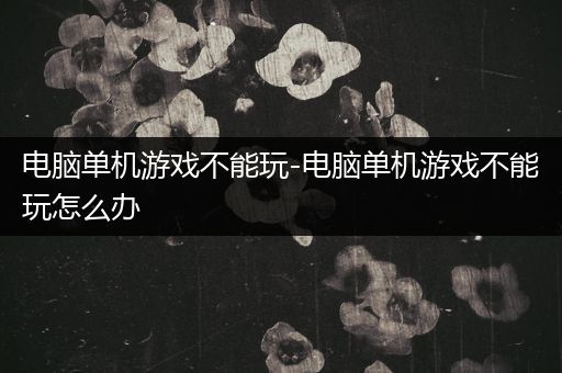 电脑单机游戏不能玩-电脑单机游戏不能玩怎么办