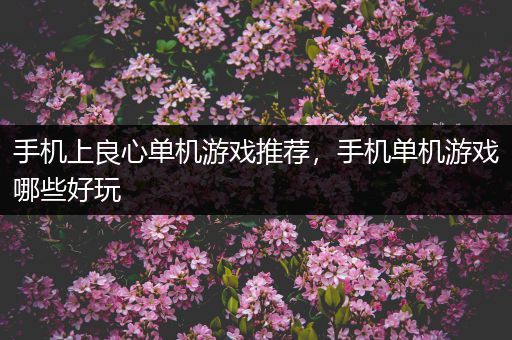 手机上良心单机游戏推荐，手机单机游戏哪些好玩