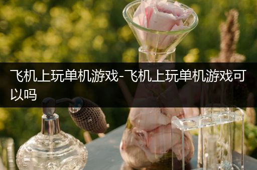 飞机上玩单机游戏-飞机上玩单机游戏可以吗