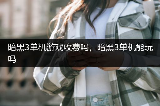 暗黑3单机游戏收费吗，暗黑3单机能玩吗