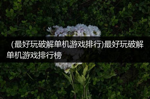 （最好玩破解单机游戏排行)最好玩破解单机游戏排行榜