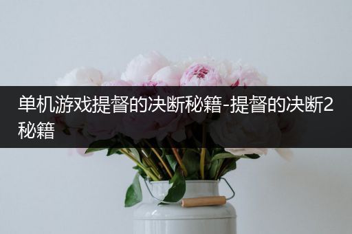 单机游戏提督的决断秘籍-提督的决断2秘籍