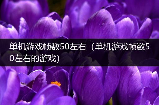 单机游戏帧数50左右（单机游戏帧数50左右的游戏）