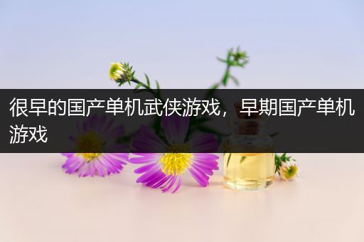很早的国产单机武侠游戏，早期国产单机游戏