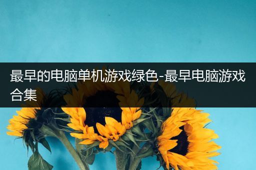 最早的电脑单机游戏绿色-最早电脑游戏合集