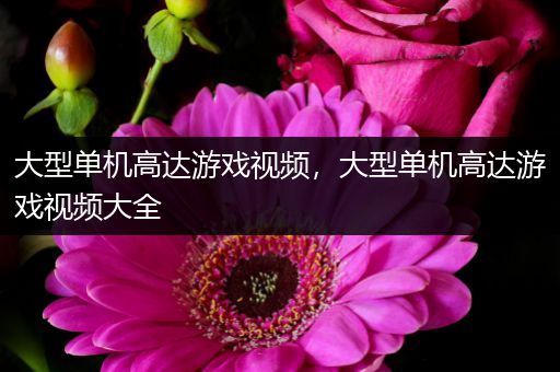 大型单机高达游戏视频，大型单机高达游戏视频大全