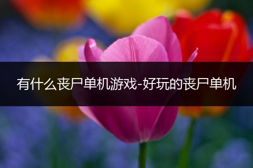 有什么丧尸单机游戏-好玩的丧尸单机