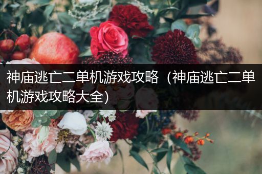 神庙逃亡二单机游戏攻略（神庙逃亡二单机游戏攻略大全）