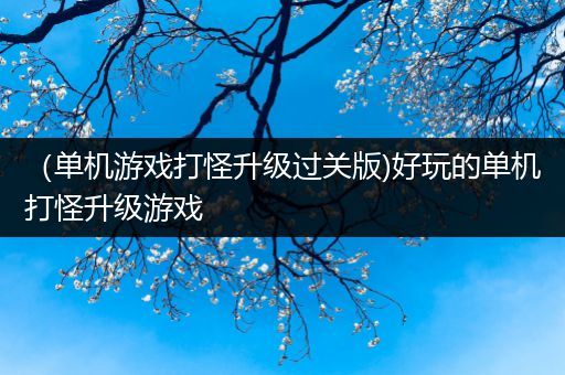 （单机游戏打怪升级过关版)好玩的单机打怪升级游戏
