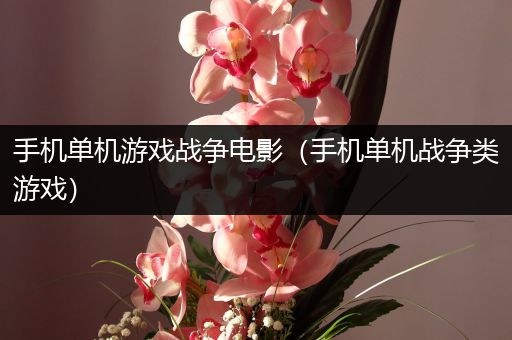 手机单机游戏战争电影（手机单机战争类游戏）