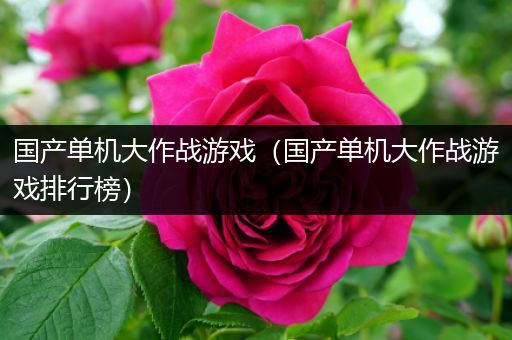 国产单机大作战游戏（国产单机大作战游戏排行榜）