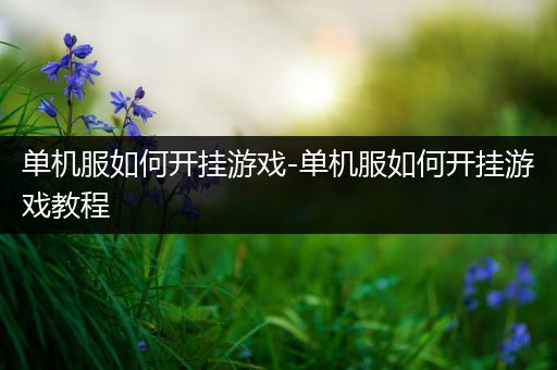 单机服如何开挂游戏-单机服如何开挂游戏教程