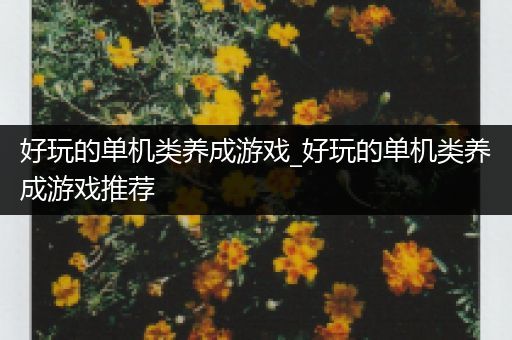 好玩的单机类养成游戏_好玩的单机类养成游戏推荐