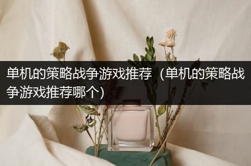 单机的策略战争游戏推荐（单机的策略战争游戏推荐哪个）